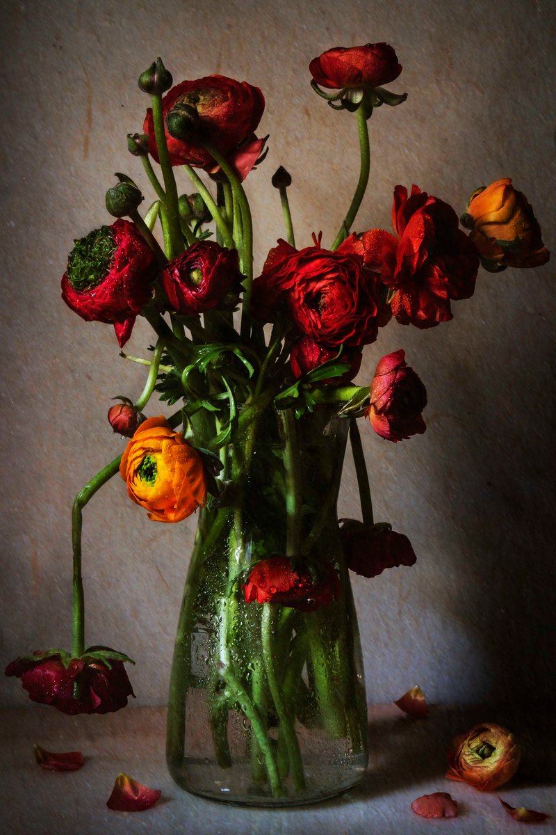 Impressionistic Botanical Photograph By Sandra Platas Hernandez, 12 X 17", Ranunculus, Original Artwork