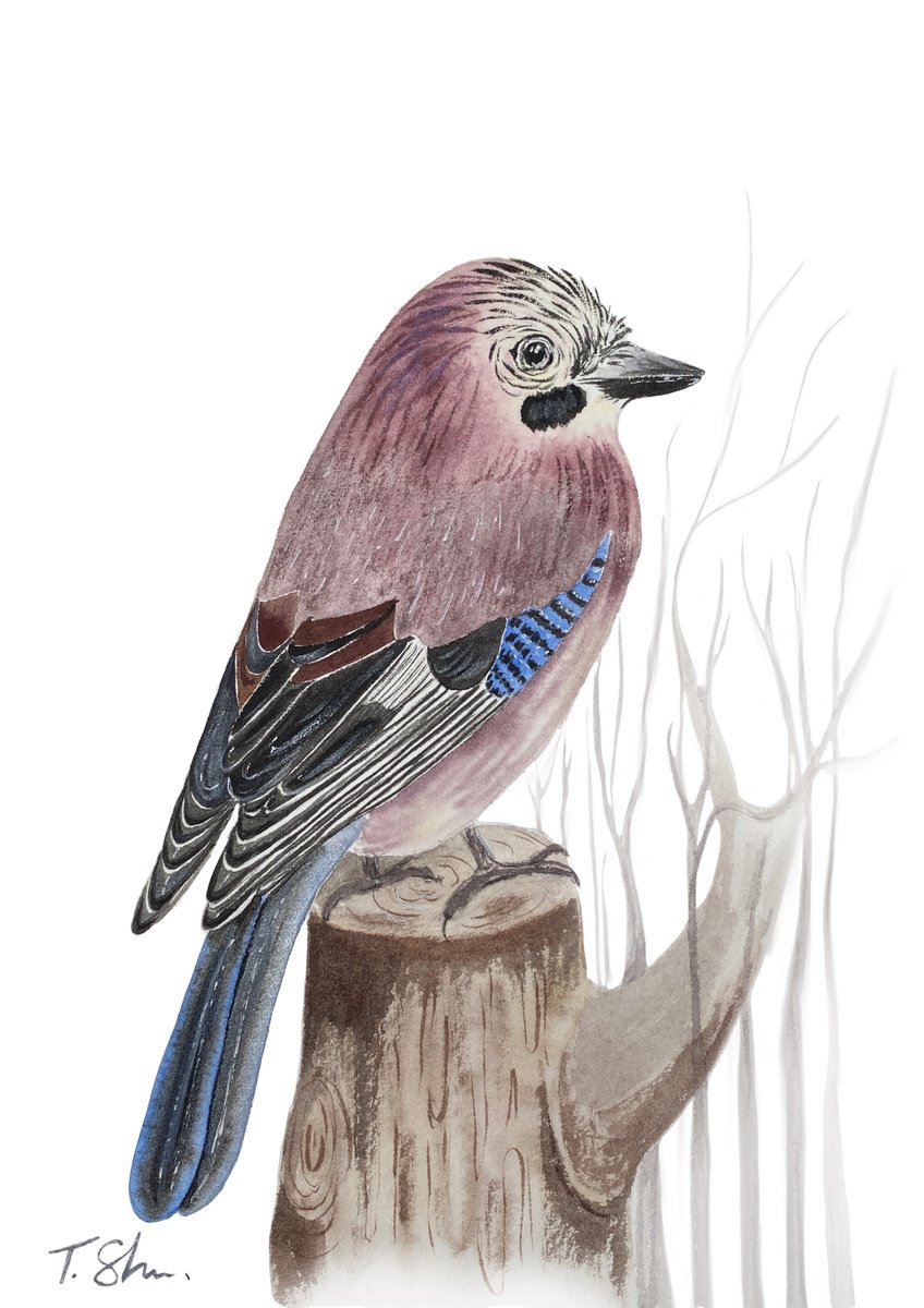 Jay bird by Tina Shyfruk