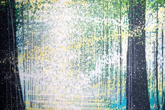 Light Through Summer Trees #3