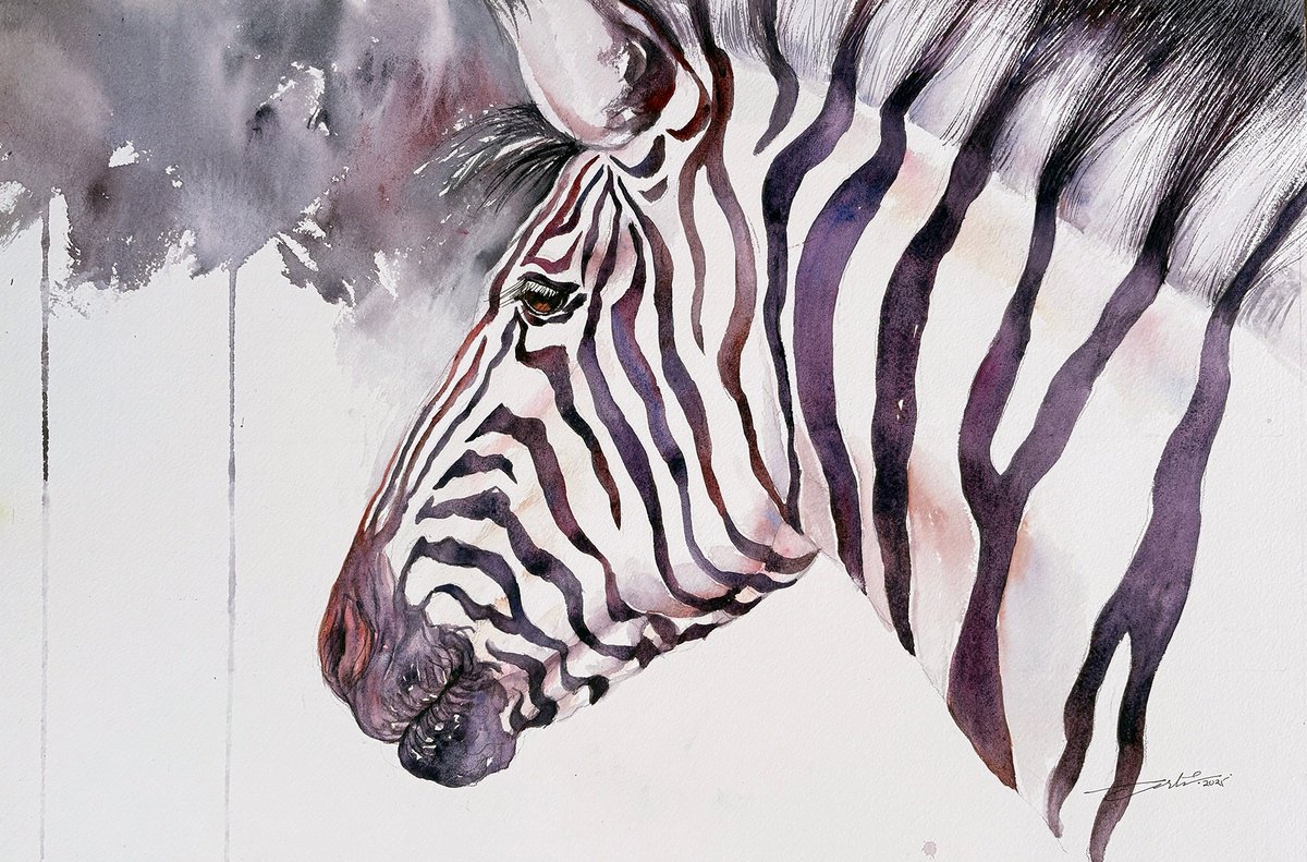 Photorealistic Animal Watercolour By Arti Chauhan, 20 X 14, Zodiac_Zebra, Original Artwork