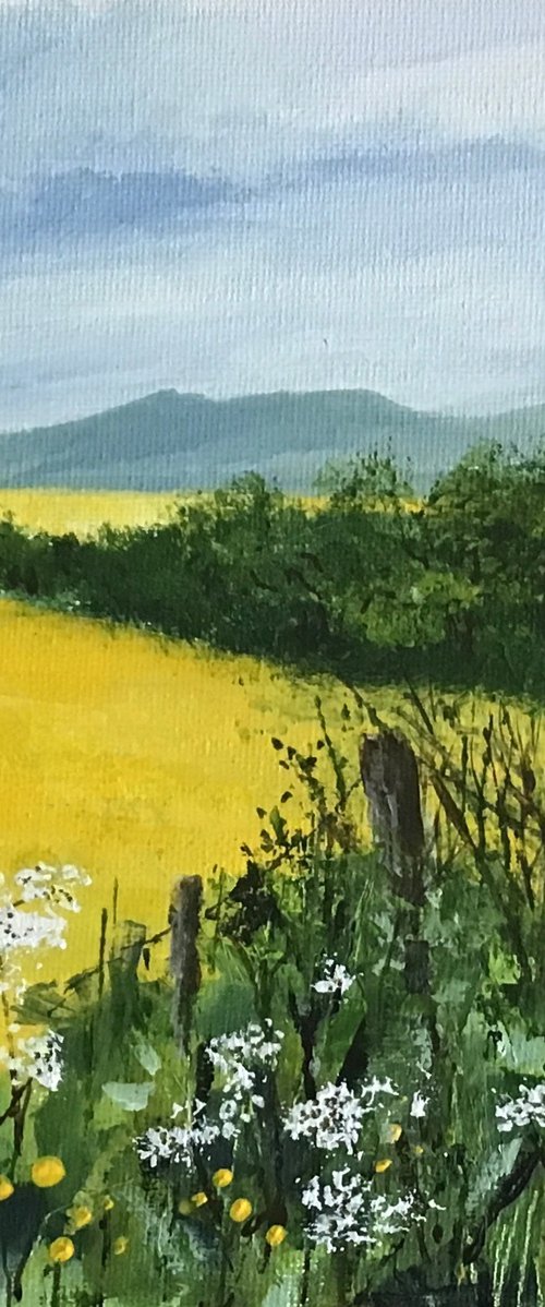 Golden Fields by Valerie Jobes