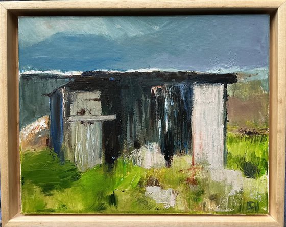 Allotment Shed