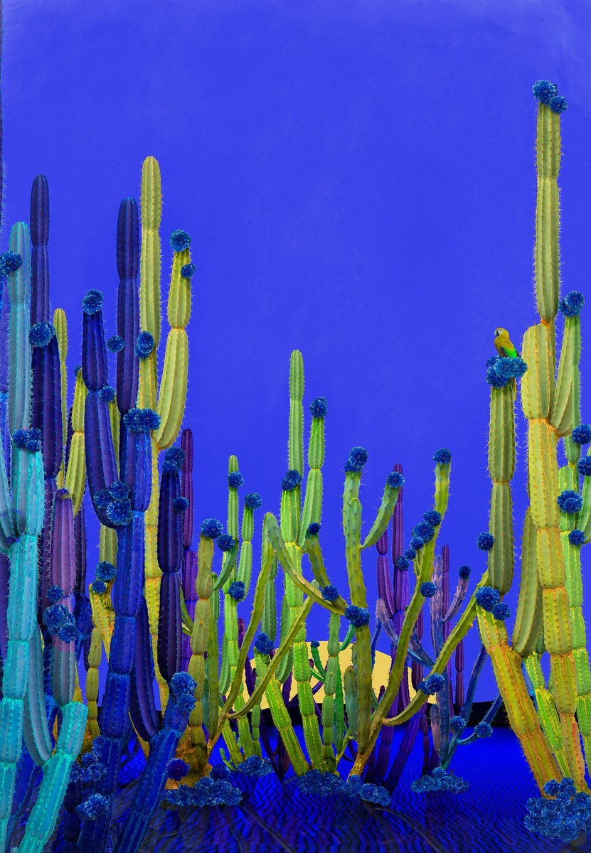 Surrealistic Botanical Photograph By Nadia Attura, 20 X 28", Cactus Blue, Original Artwork