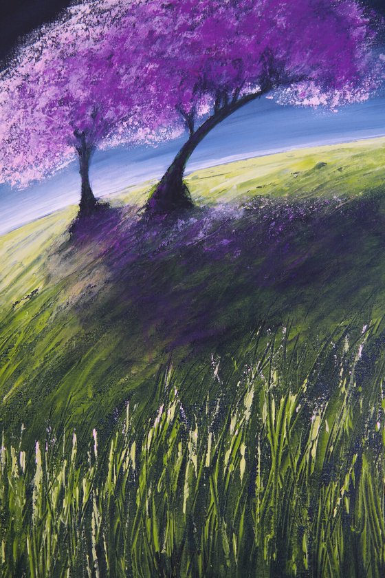 Cherry blossom - Fields and Colors Series