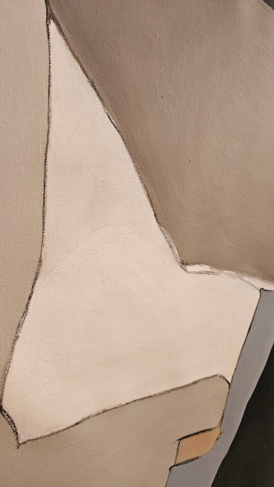 Nature’s Geometry #6