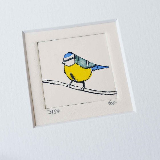 Mini framed bluetit