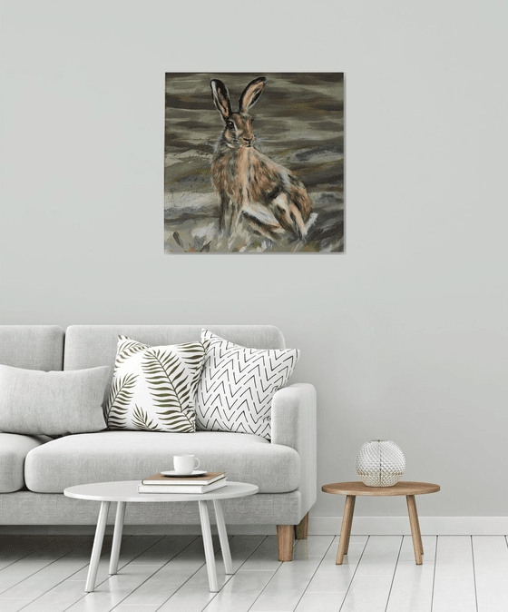 Moorland hare