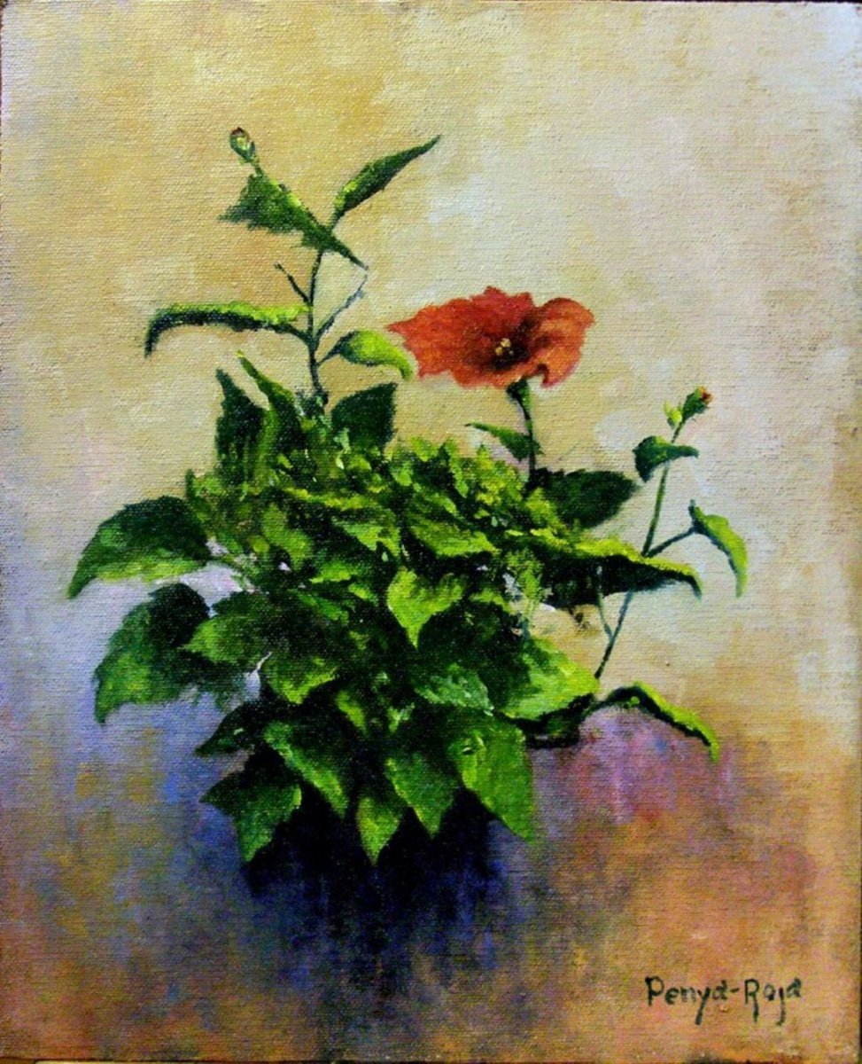 The red flower by Vicent Penya-Roja