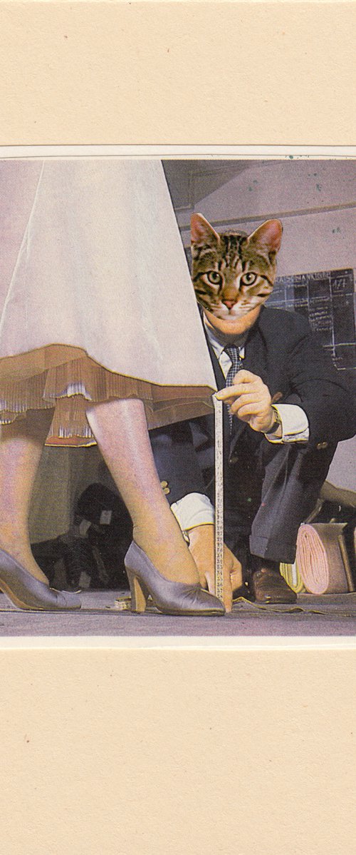 Tailor by Jon Garbet