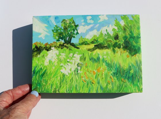 Green Country Lane