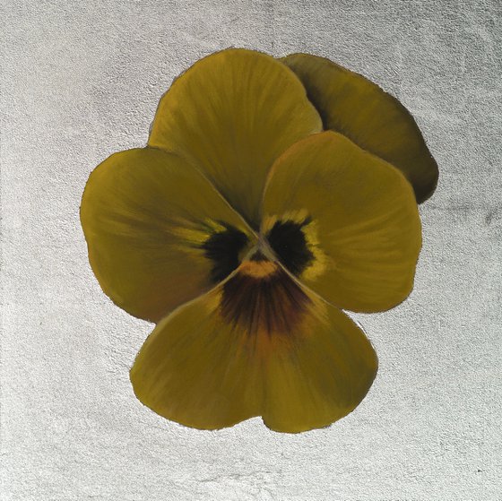 Pansy #10