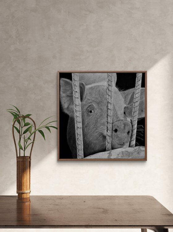 "Nosey"
