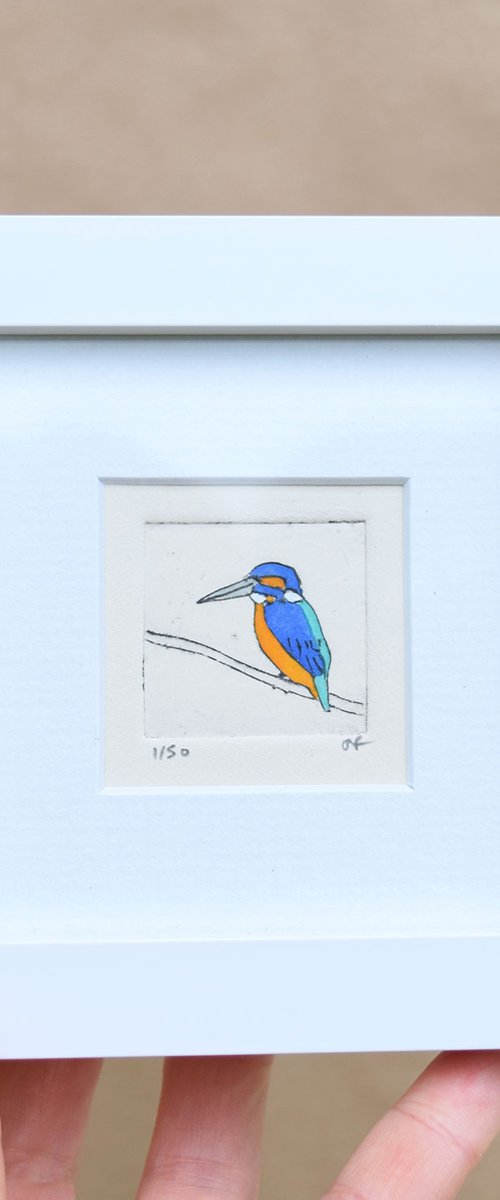Mini framed kingfisher by Sally Fisher