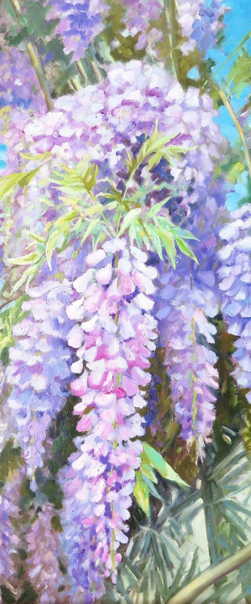 Wisteria by Tatiana Kyriakidou