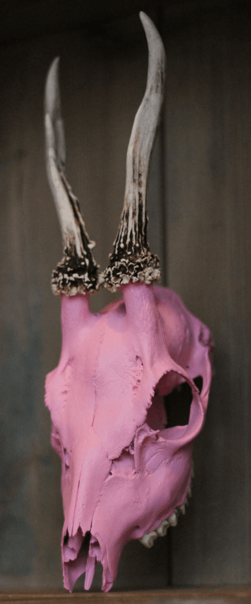 Barbie Skull by Barnaby  Sax