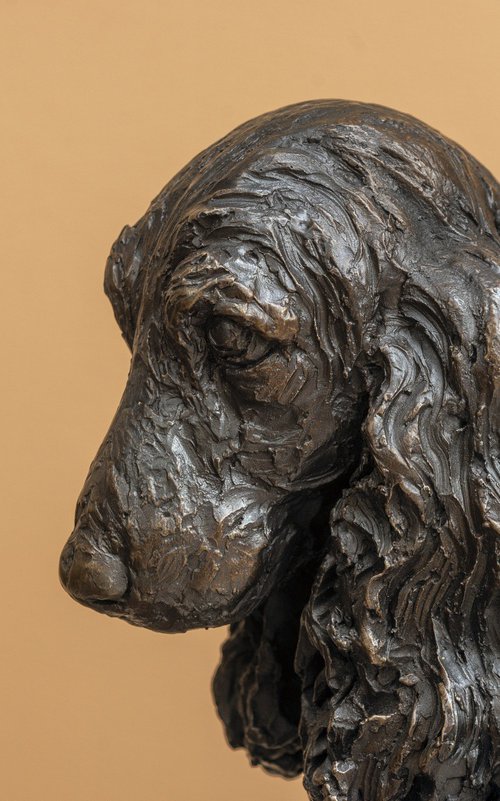 Sitting Cocker Spaniel BR by Tanya Russell