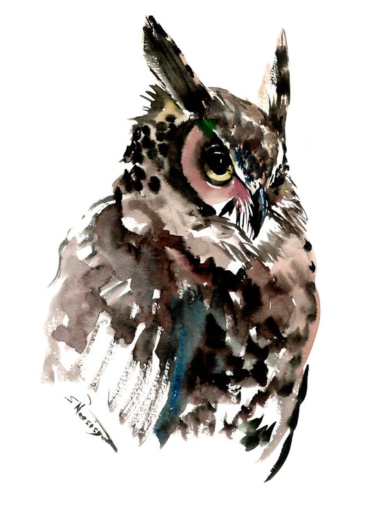 Owl