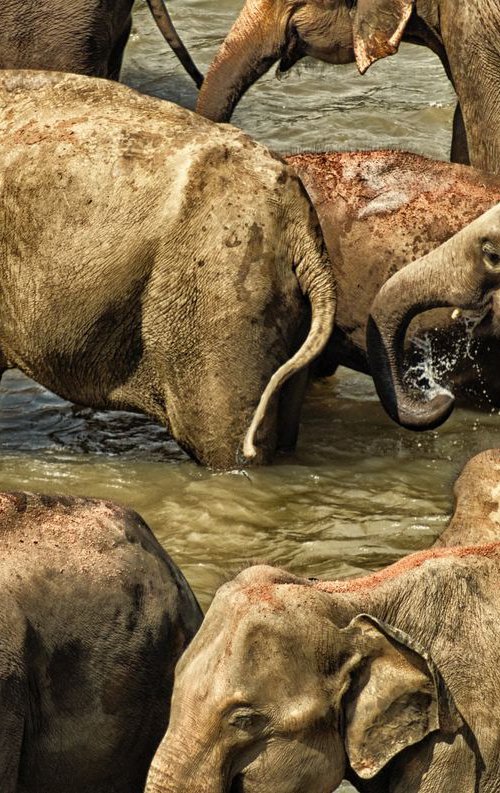 Thirsty Work #2 by Marc Ehrenbold