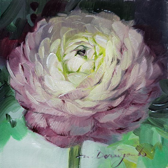 Peony Ranunculus
