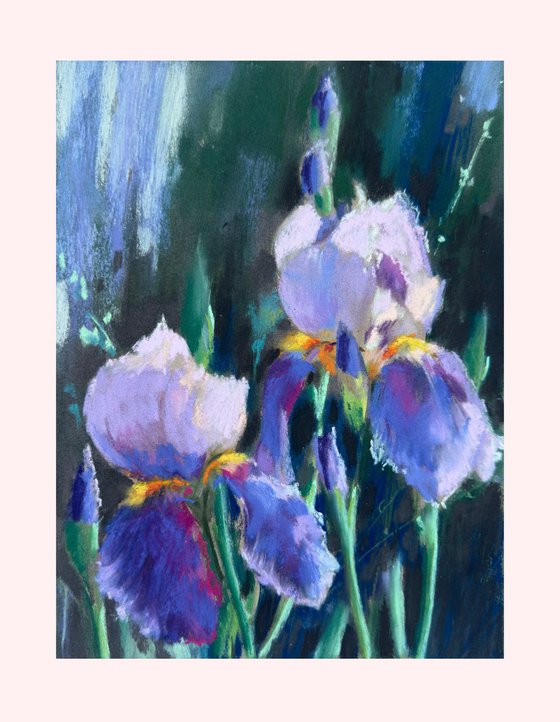Blue Iris