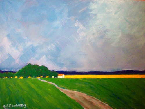 Incoming Rain, Canola fields by David J Edwards