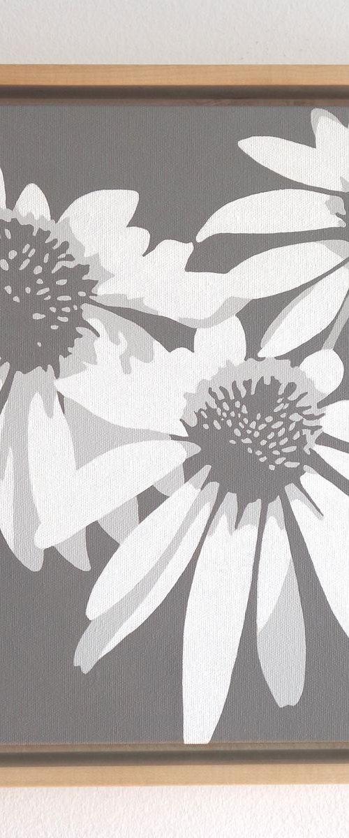 Echinacea Trio by Susan Porter