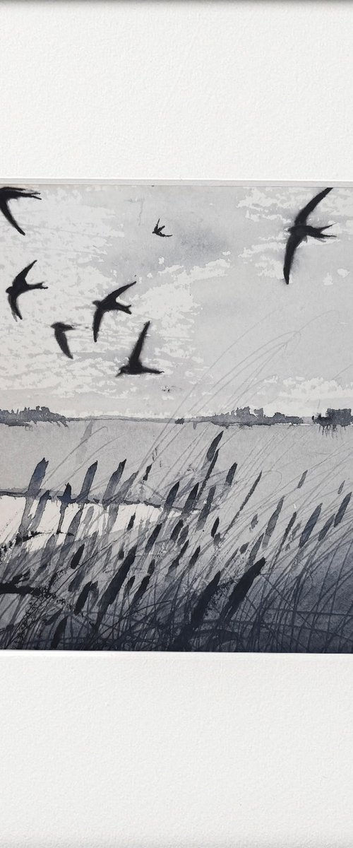 Marshes swallows by Teresa Tanner