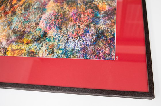 Wall of Nature XXIX (Framed)