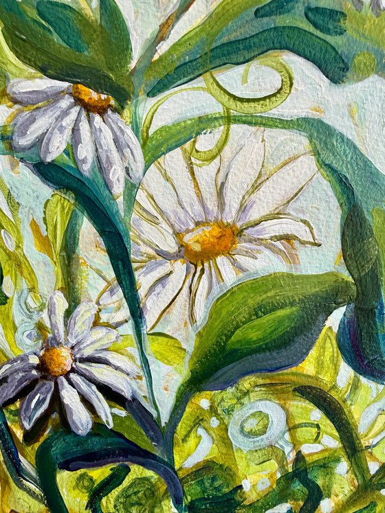 Daisies