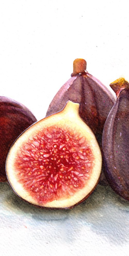 Figs by REME Jr.
