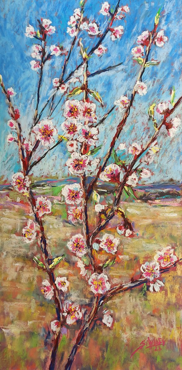 The blossom by Silvia Flores Vitiello