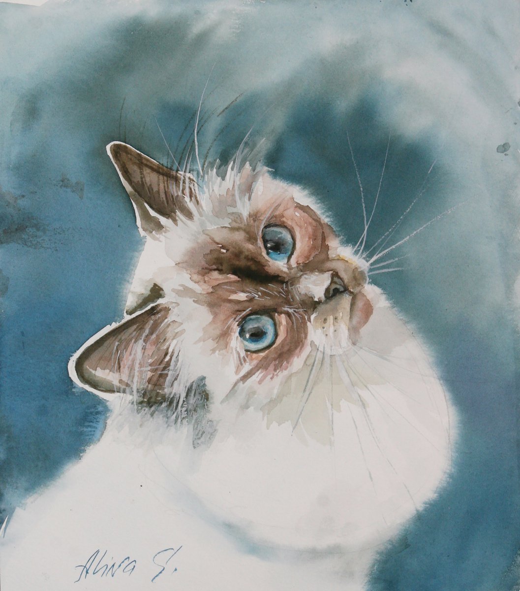 Blue-eyed cat by Alina Shmygol