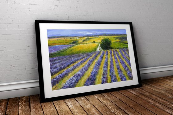 "In the ranks of lavender"SPECIAL PRICE!!!