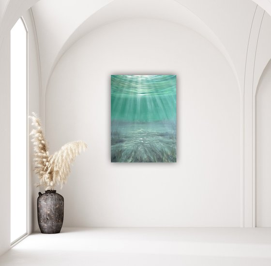 Where Pretty Fishes Live