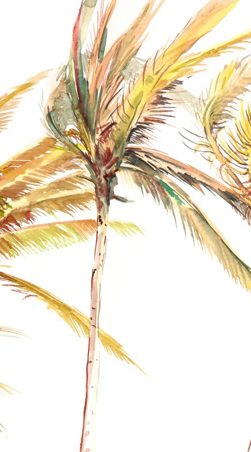 Tropical Beach. coconut Palm Trees by Suren Nersisyan