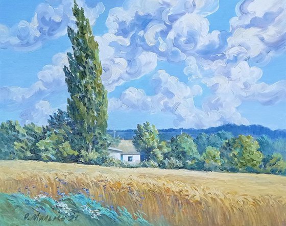 Wheatfield with Poplars