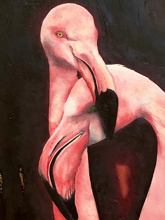 Comfortably Numb: Flamingly Flamingos