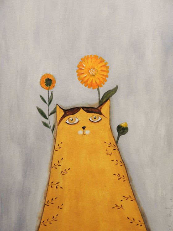 Calendula cat