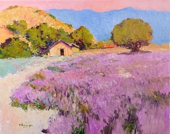 Lavender and Farmhouses