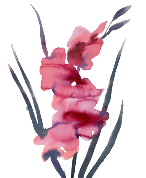 Gladiolus No. 3 by Elizabeth Becker