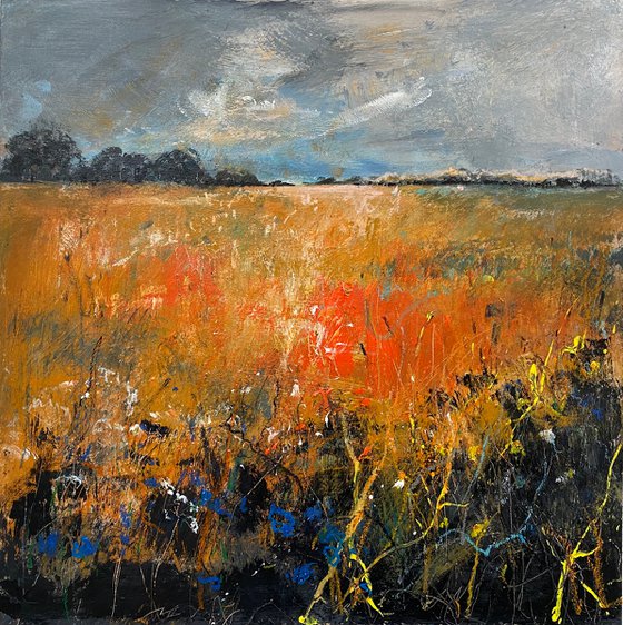 Orange Field with blue cornflowers (framed)