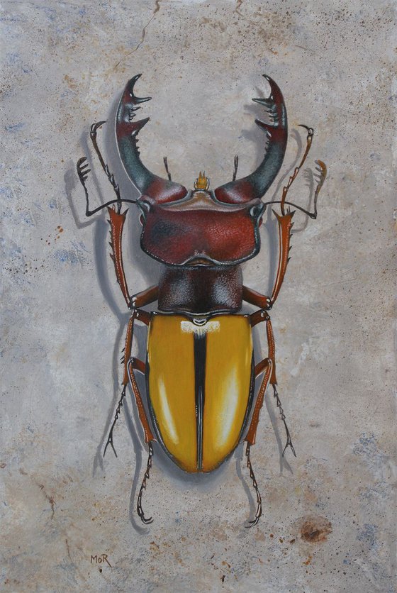 Lucanus Laetus