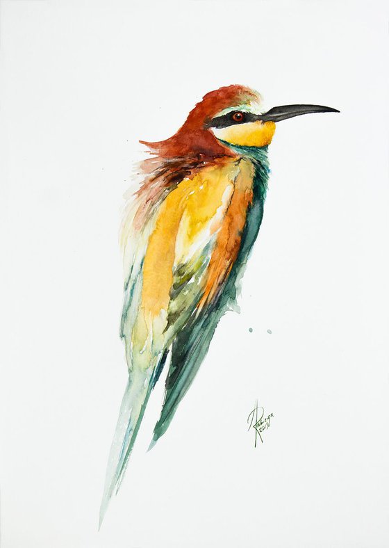 Bee-eater