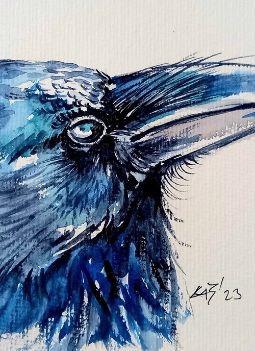 Crow portrait by Kovács Anna Brigitta