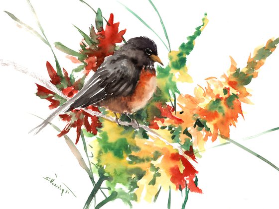 American Robin Bird Art