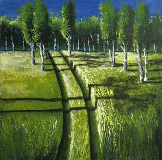 Long Shadows