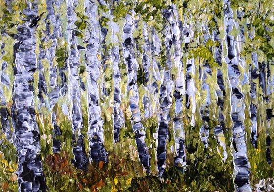 Birch forest