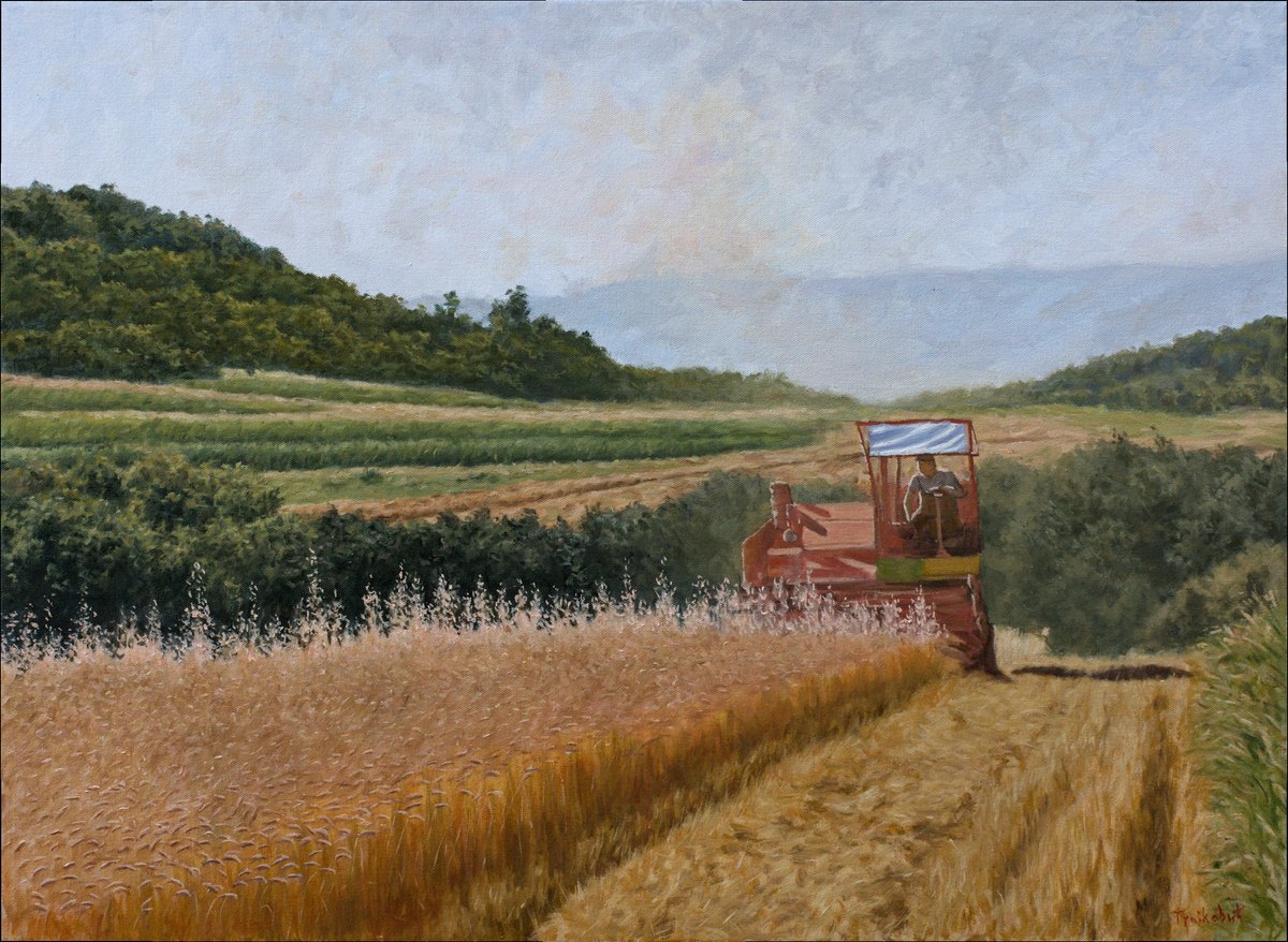 Impressionistic Landscape Oil Painting By Dejan Trajkovic, 30 X 22, Harvest In Rabbit Slopes, Original Artwork