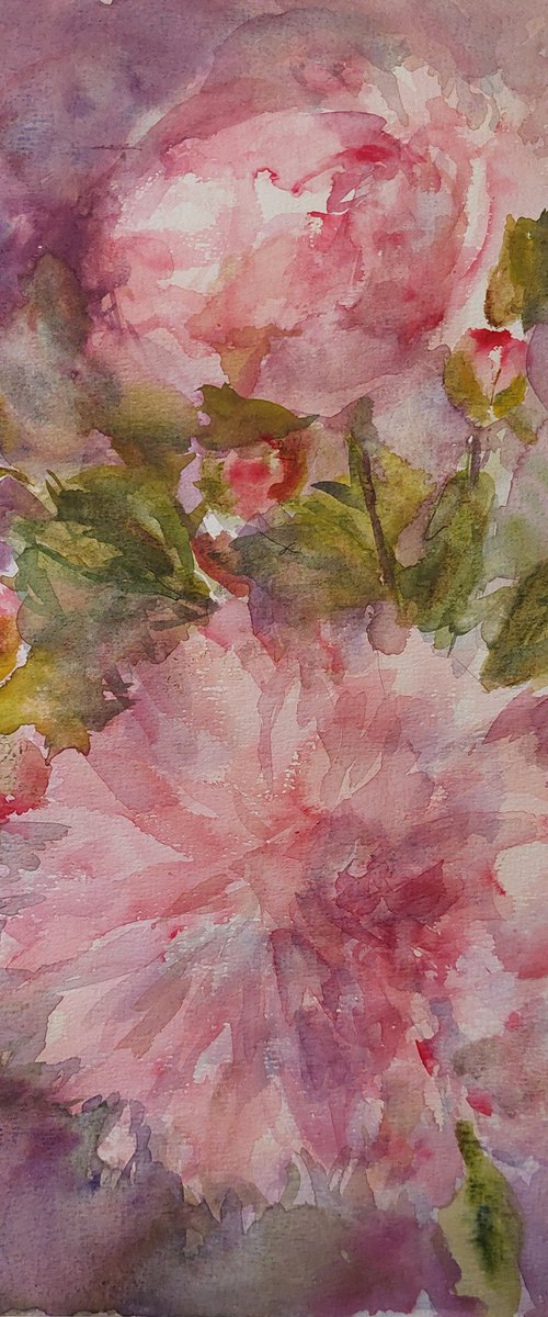 Peonies by Els Driesen