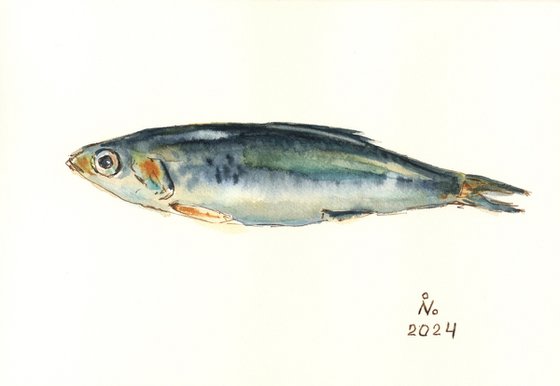 Baby Herring